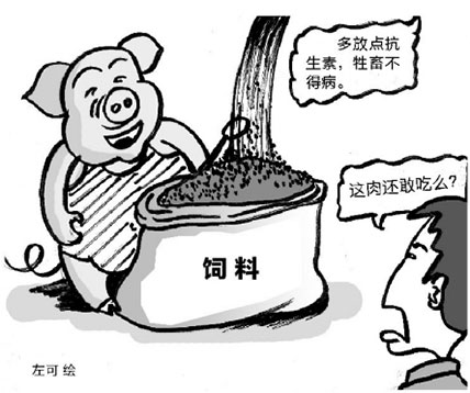 我曾经也是一名中国兽医