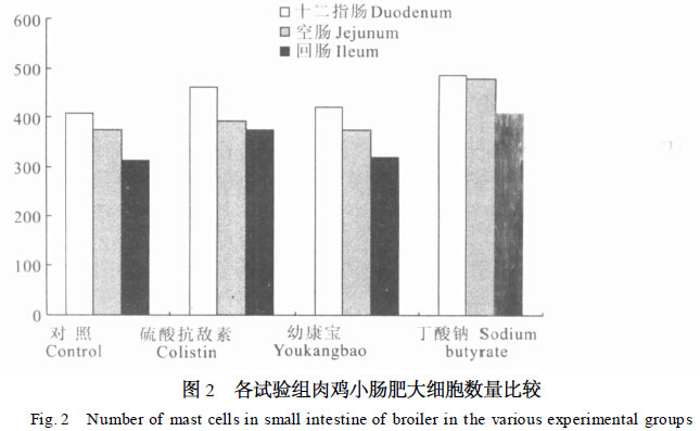 三种饲料添加剂对肉鸡小肠肥大细胞数量分布的影响