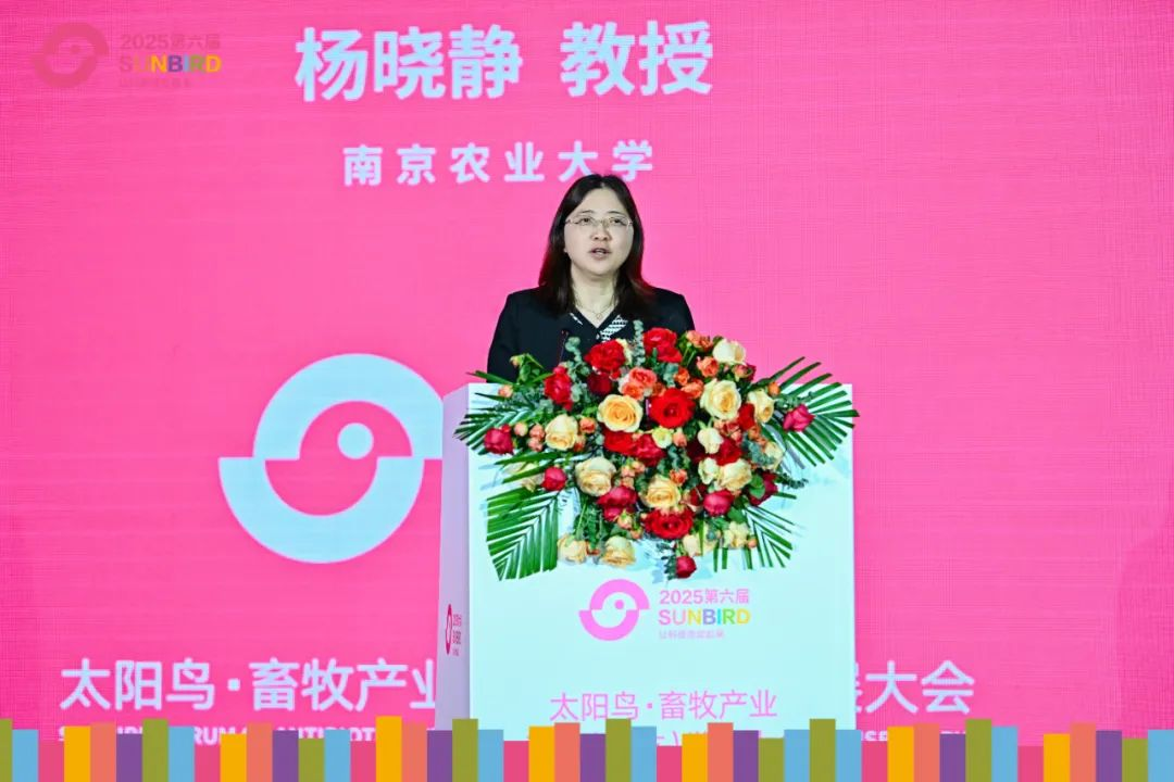新奥公司闪耀第六届太阳鸟·畜牧产业无抗（减抗）发展大会
