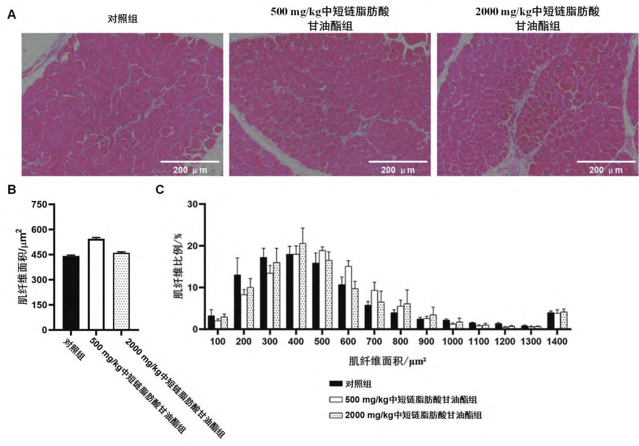 20260204129646.png 图片4.png