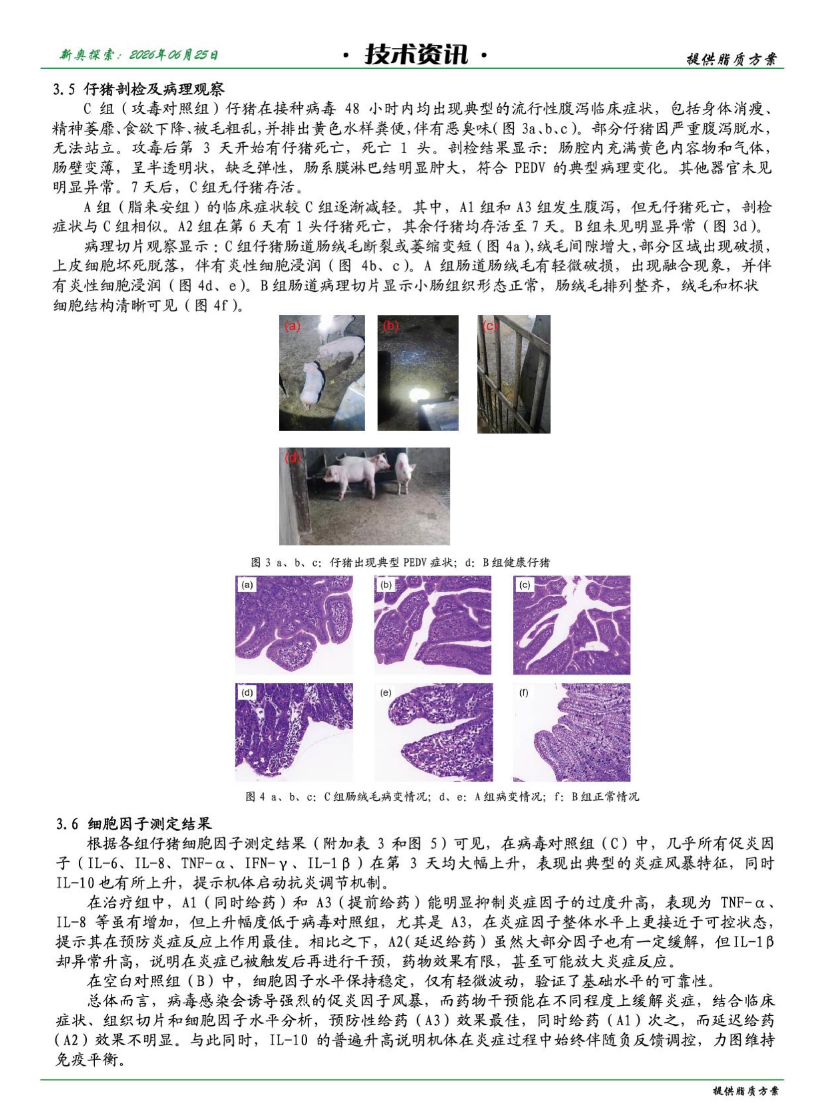 新奥探索NO.82_7.jpg